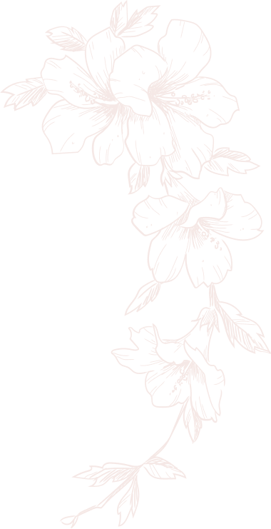 Top-rated eyebrow salon